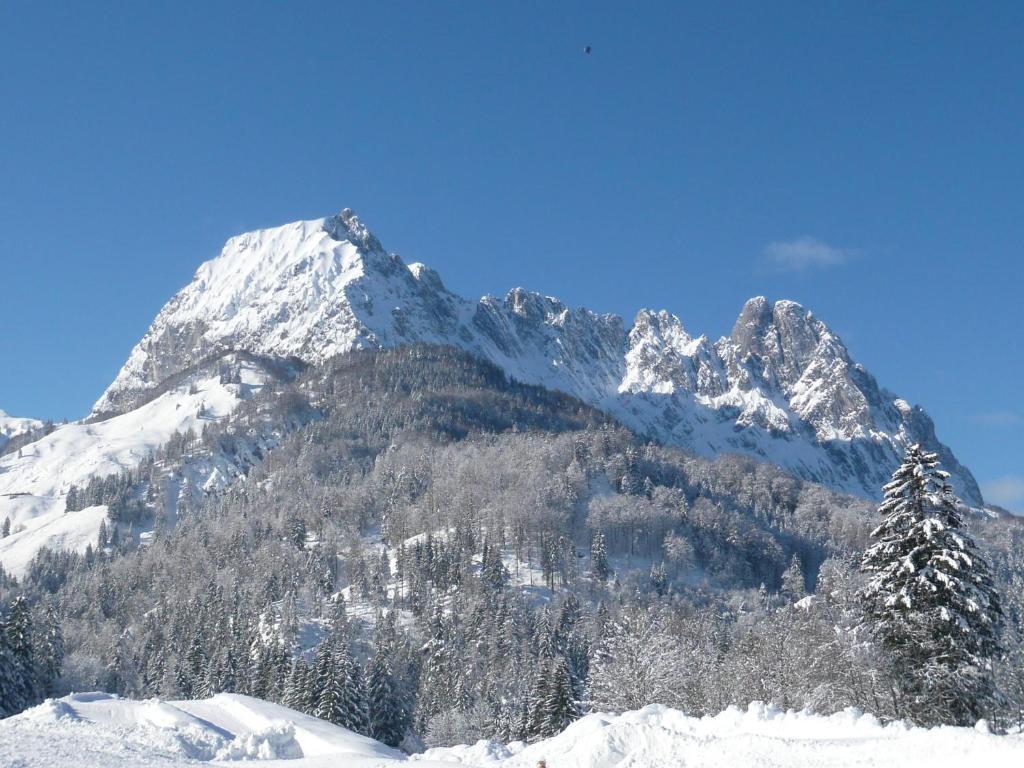 Landhaus Huber Appartement Kirchdorf in Tirol Buitenkant foto