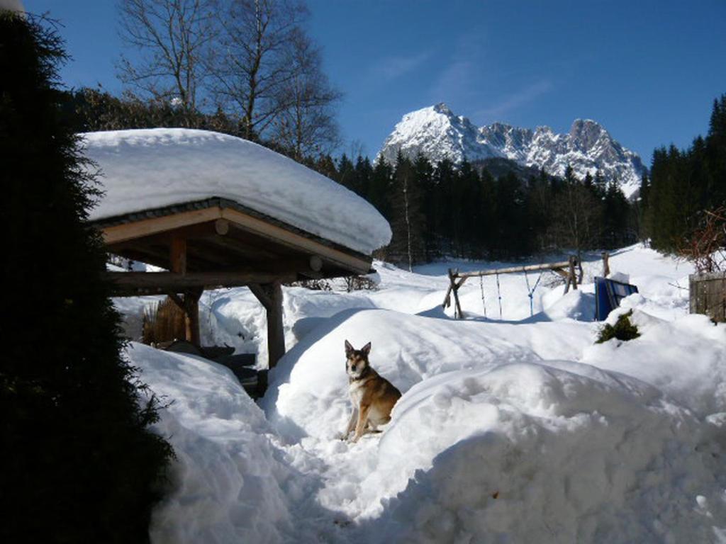 Landhaus Huber Appartement Kirchdorf in Tirol Buitenkant foto